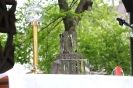 Priesterjubiläum Br. Martin_69